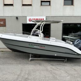 calion boats 21.50 wa