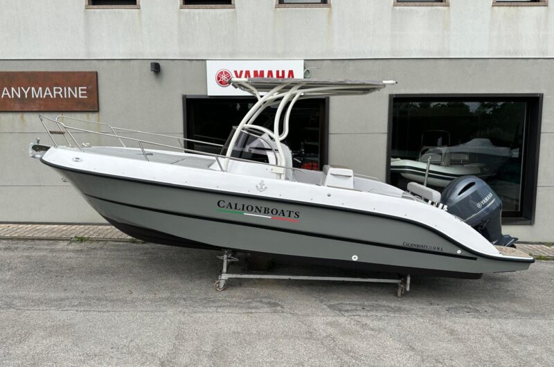 calion boats 21.50 wa