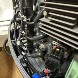 Foto Fuoribordo Usato Selva F40 Murena XSR Best 16 Valvole - 8