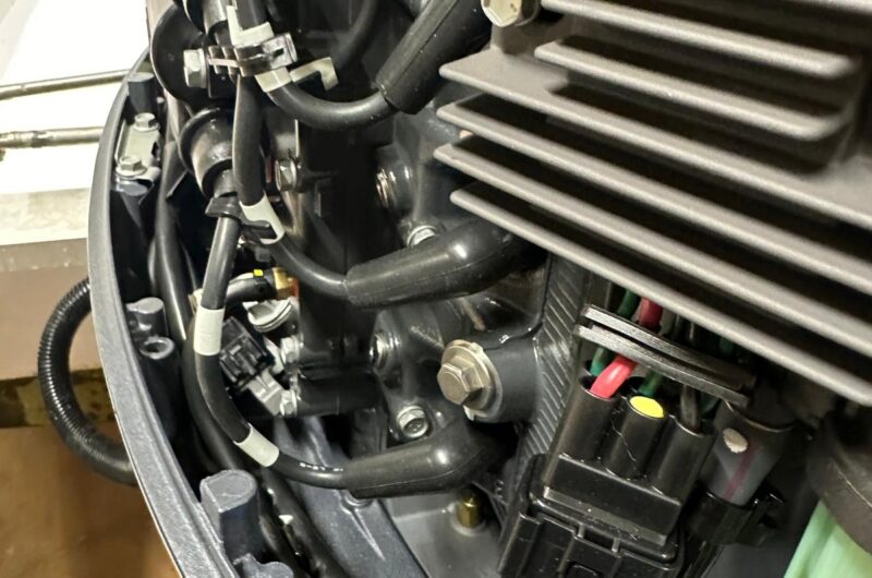 Foto Fuoribordo Usato Selva F40 Murena XSR Best 16 Valvole - 8