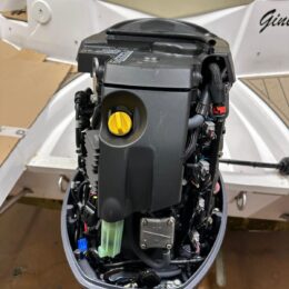 Foto Fuoribordo Usato Selva F40 Murena XSR Best 16 Valvole - 10