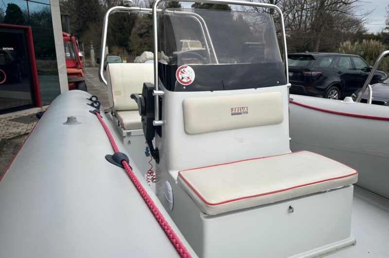 gommone 40 cv usato
