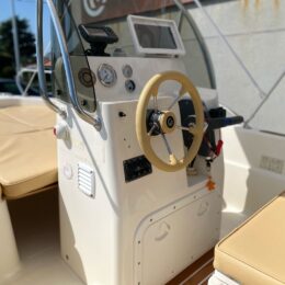 Foto Usato Capelli CAP 500 + Evinrude 40 Senza Patente - 20