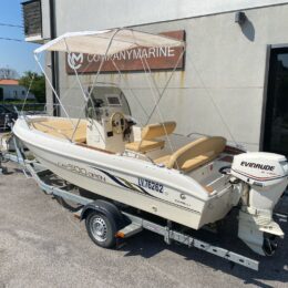 capelli 500 evinrude 40 etech