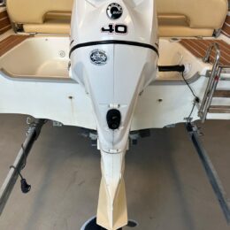 Foto Fuoribordo Usato Evinrude 40 E-Tec - 5