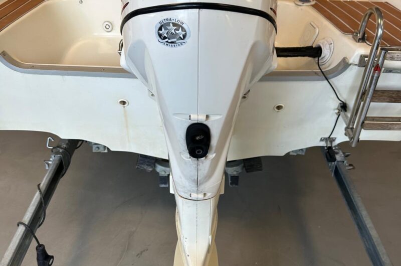 Foto Fuoribordo Usato Evinrude 40 E-Tec - 5