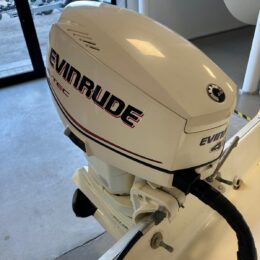 Foto Fuoribordo Usato Evinrude 40 E-Tec - 4