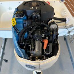 Foto Fuoribordo Usato Evinrude 40 E-Tec - 9
