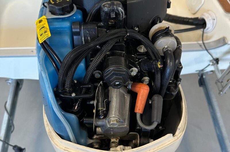 Foto Fuoribordo Usato Evinrude 40 E-Tec - 9