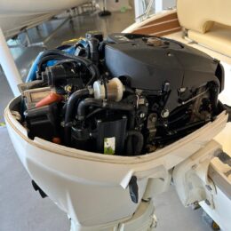 Foto Fuoribordo Usato Evinrude 40 E-Tec - 8