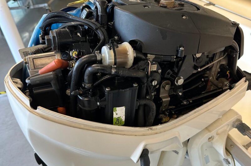 Foto Fuoribordo Usato Evinrude 40 E-Tec - 8