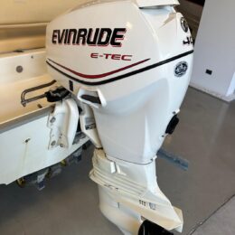 Foto Fuoribordo Usato Evinrude 40 E-Tec - 2