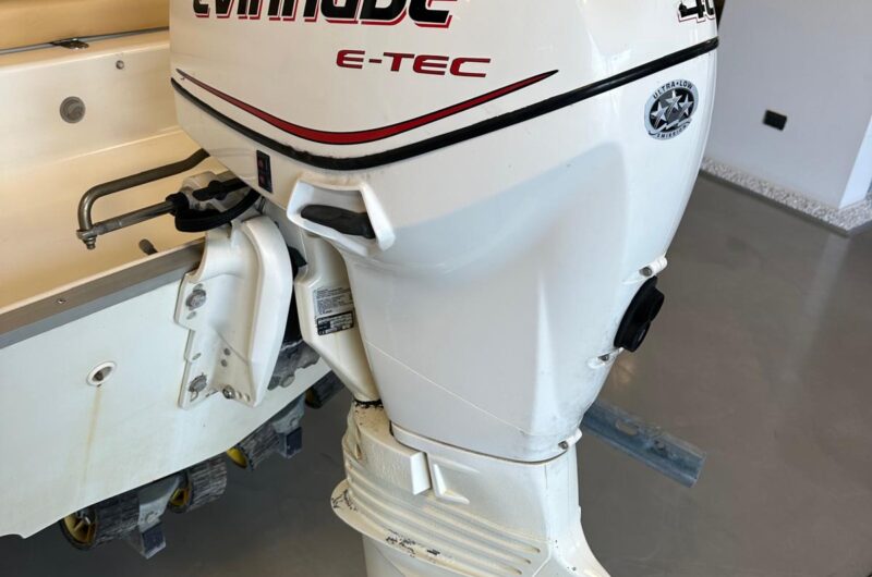 Foto Fuoribordo Usato Evinrude 40 E-Tec - 2