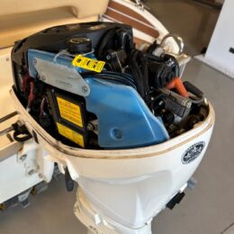 Foto Fuoribordo Usato Evinrude 40 E-Tec - 7
