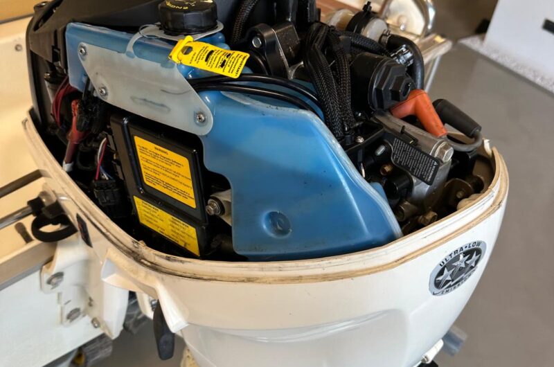 Foto Fuoribordo Usato Evinrude 40 E-Tec - 7
