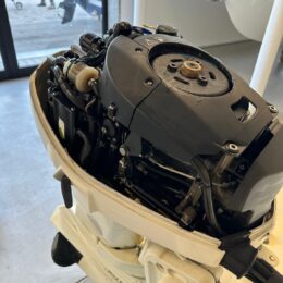 Foto Fuoribordo Usato Evinrude 40 E-Tec - 6
