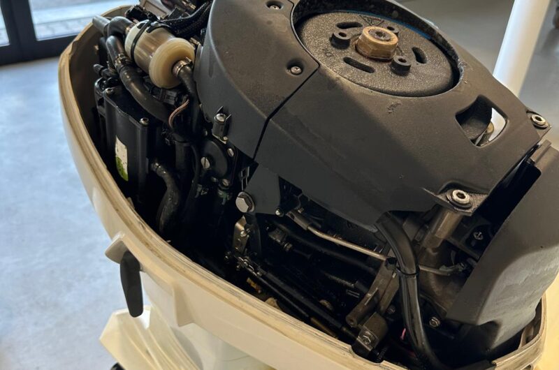 Foto Fuoribordo Usato Evinrude 40 E-Tec - 6