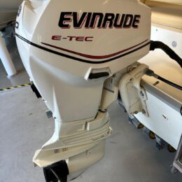 Foto Fuoribordo Usato Evinrude 40 E-Tec - 1