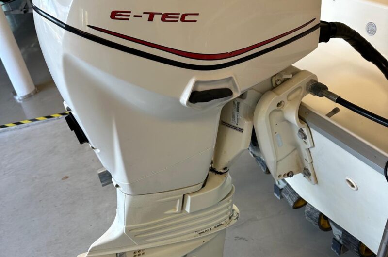 Foto Fuoribordo Usato Evinrude 40 E-Tec - 1
