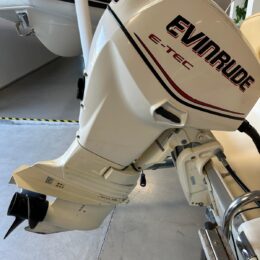 Foto Fuoribordo Usato Evinrude 40 E-Tec - 3