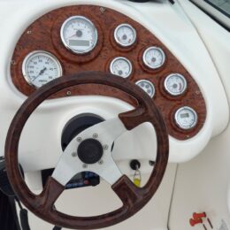 Foto Usato LEMA GOLD + Volvo Penta 4.3 Gxi - 11