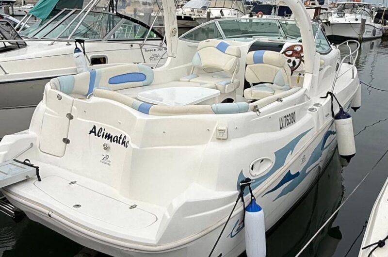 Foto Usato LEMA GOLD + Volvo Penta 4.3 Gxi - 6