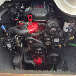 Foto Usato LEMA GOLD + Volvo Penta 4.3 Gxi - 16