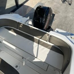 09b7e385-66de-4c15-acb3-e84aede7d502 Foto Usato Saver 560 Walkaround + Mercury F40 PRO - 13