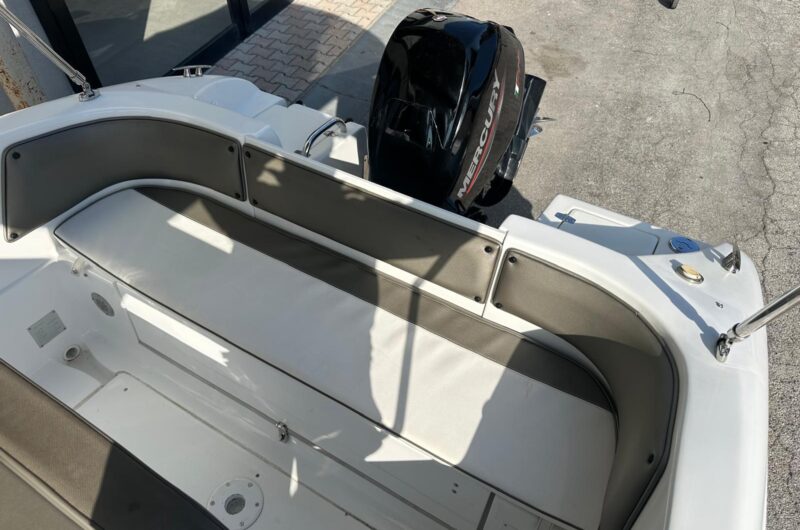 Apri foto 09b7e385-66de-4c15-acb3-e84aede7d502 Foto Usato Saver 560 Walkaround + Mercury F40 PRO - 13