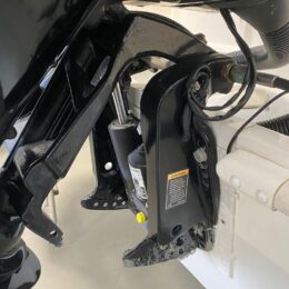 Foto Occasione Fuoribordo Usato Mercury F115 4 tempi - 3