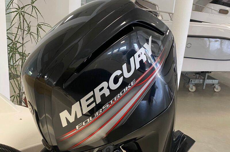 fuoribordo mercury 115 ct