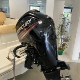 Foto Occasione Fuoribordo Usato Mercury F115 4 tempi - 4