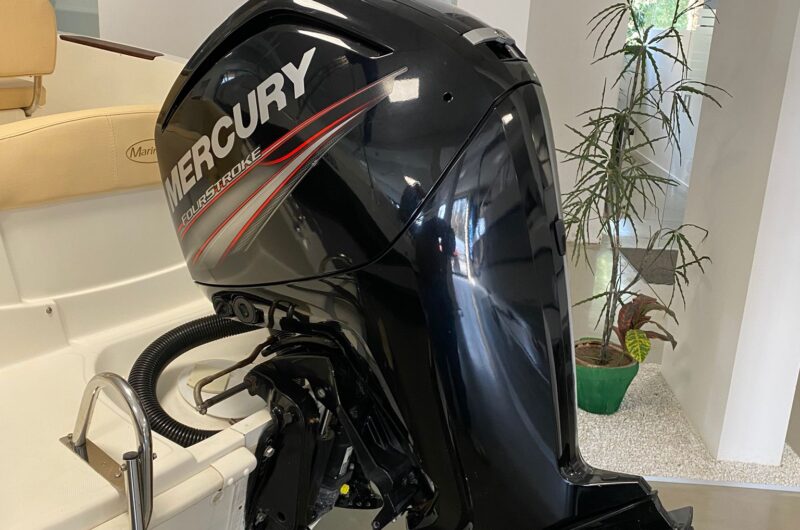 Foto Occasione Fuoribordo Usato Mercury F115 4 tempi - 4