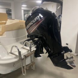 mercury 115 usato marinello open