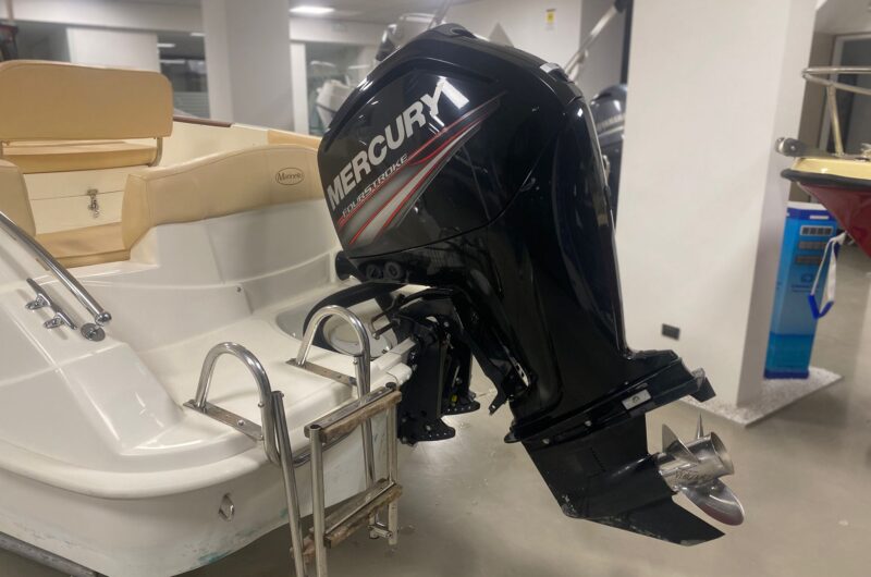 mercury 115 usato marinello open