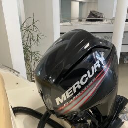 Foto Occasione Fuoribordo Usato Mercury F115 4 tempi - 5