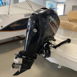 Foto Occasione Fuoribordo Usato Mercury F115 4 tempi - 7