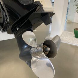 Foto Occasione Fuoribordo Usato Mercury F115 4 tempi - 6