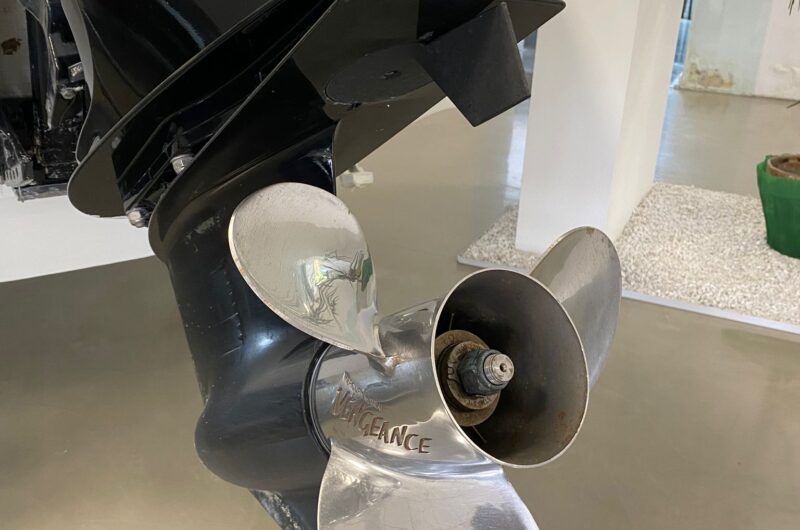 Foto Occasione Fuoribordo Usato Mercury F115 4 tempi - 6