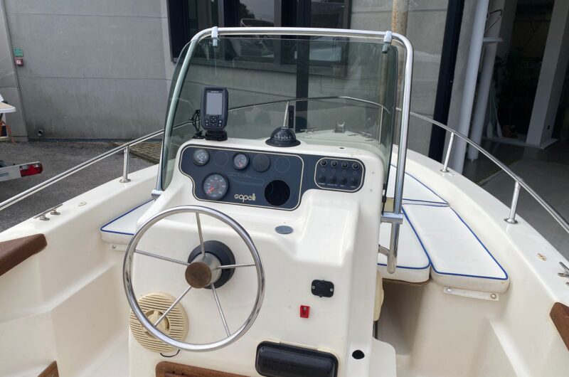 Foto Occasione Usato Capelli 17 + Suzuki F40 4 tempi iniezione - 11