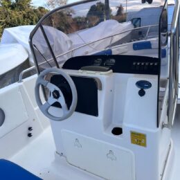 Foto Occasione Usato Ranieri 19 + Yamaha F40 LETL - 12