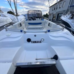 Foto Occasione Usato Ranieri 19 + Yamaha F40 LETL - 10