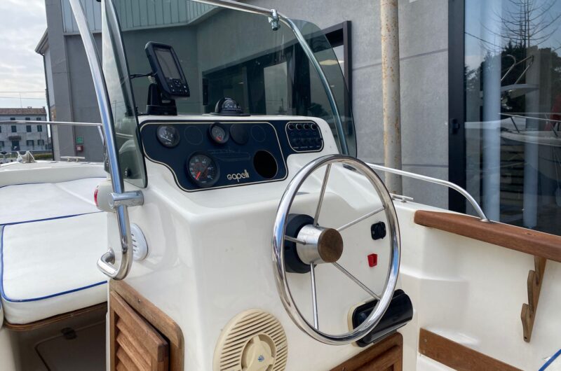 Foto Occasione Usato Capelli 17 + Suzuki F40 4 tempi iniezione - 10