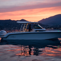 488A1237 companymarine capelli concessionario veneto