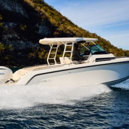 ALMA 27 (4) companymarine concessionario capelli veneto