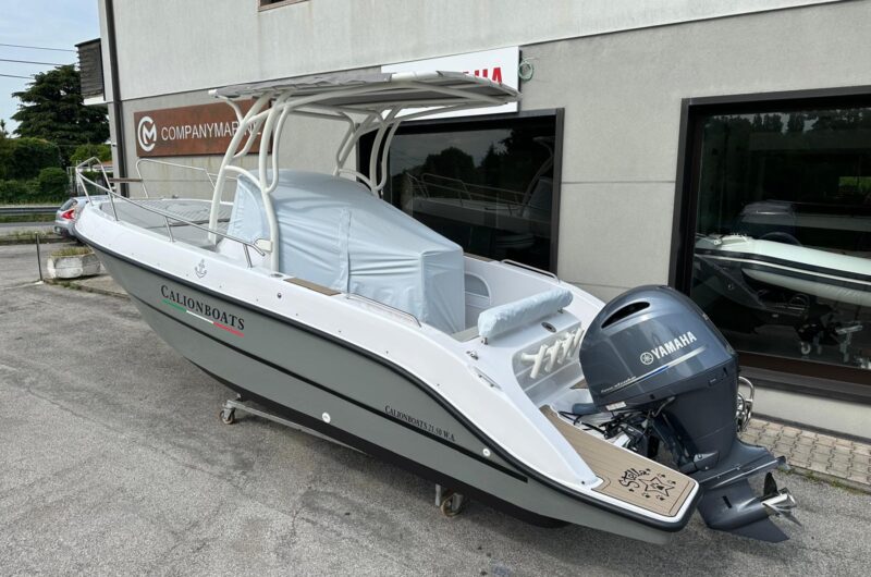 calionboats 21.50 walkaround