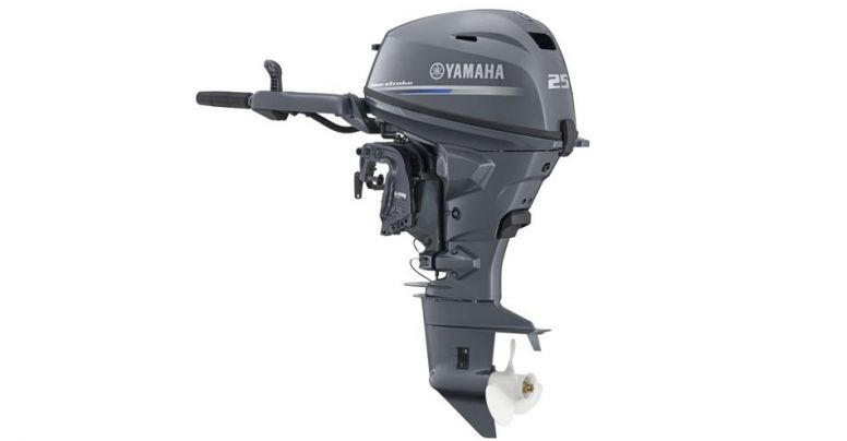 Yamaha F 25 G