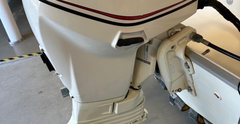 Fuoribordo Usato Evinrude 40 E-Tec