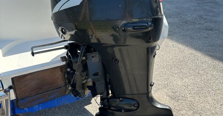 Occasione Fuoribordo Usato Suzuki F 115 4 tempi